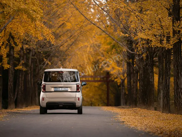 2016 Fiat Scudo Sport — Garaj Aracı — fotoğraf 3