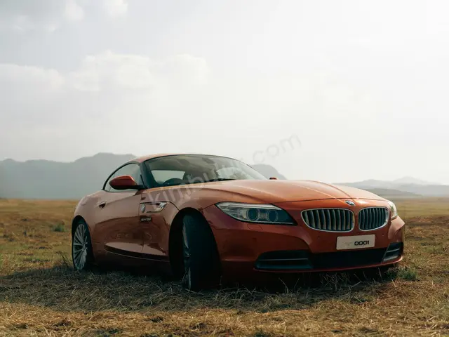 2021 BMW Z Serisi Titanium — Masrafsız — fotoğraf 2
