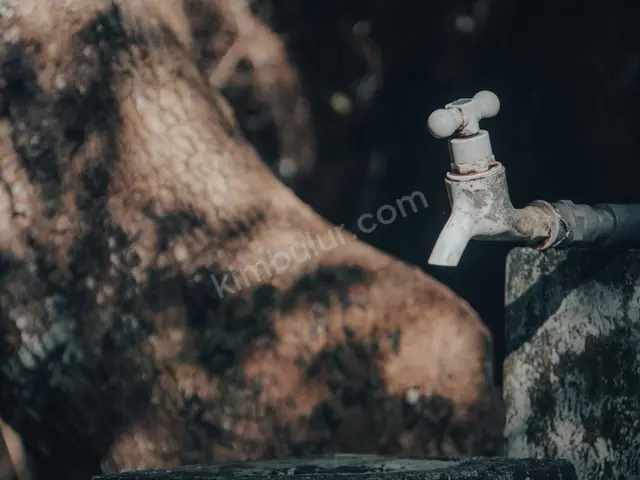 Yıldırım Cilt Bakımı & Estetisyen Hizmeti — Garantili İşçilik — fotoğraf 2