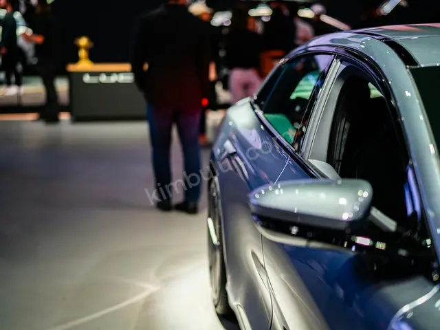 2013 Tesla Design — Tramer Kaydı Düşük — fotoğraf 2