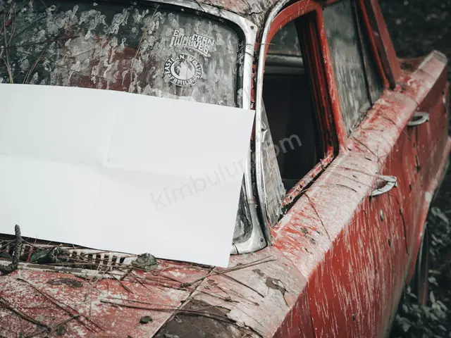 Hasarlı Ticari Araç · Kumru — 2013 Model, Ağır Hasarlı — fotoğraf 4