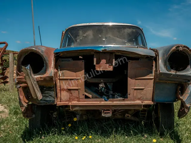 Hasarlı Ticari Araç · Esenyurt — 2024 Model, Motor Arızalı — fotoğraf 2