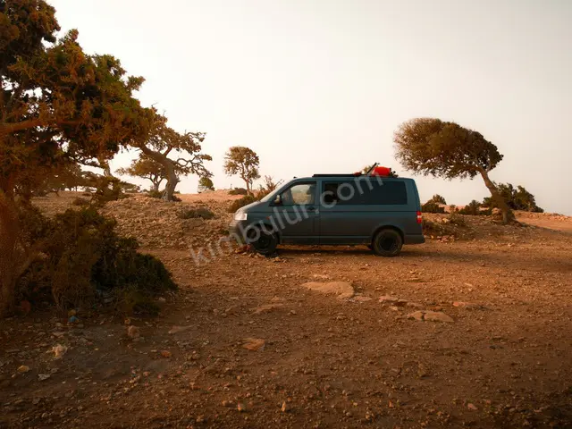 2014 Ford Transit Connect Executive — Masrafsız — fotoğraf 4