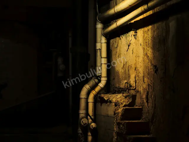 Battalgazi Müzisyen & DJ Hizmeti — Ücretsiz Keşif