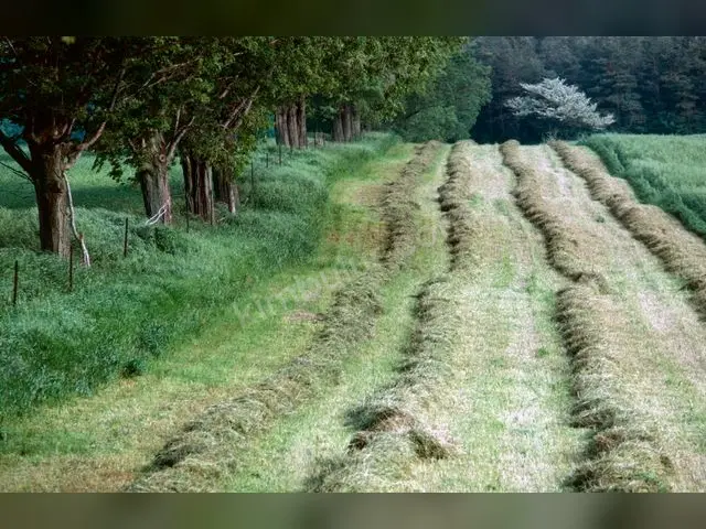 Erciş 9.500 m² Kiralık Ticari İmarlı Arsa — fotoğraf 3