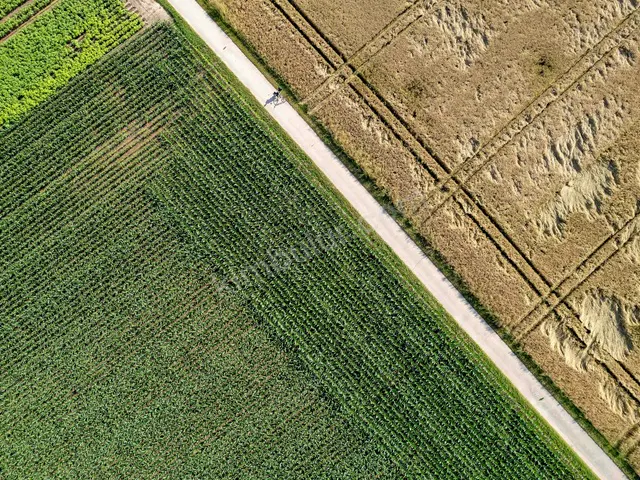 Korgan 2.700 m² Kiralık Konut + Ticari İmarlı Arsa — fotoğraf 4