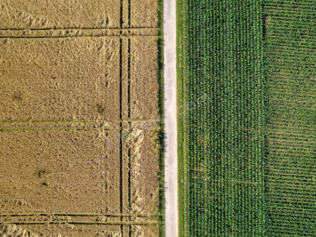 Serik 4.500 m² Kat Karşılığı Konut İmarlı Arsa