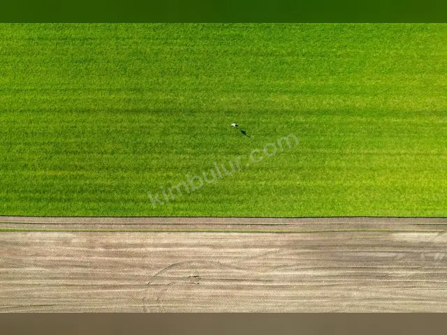 Bandırma 6.550 m² Kiralık Ticari İmarlı Arsa
