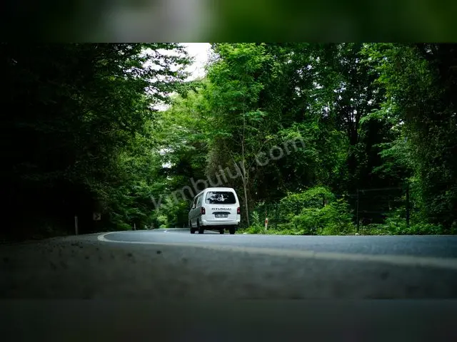2019 Renault R 12 Style — Masrafsız — fotoğraf 4