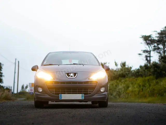 2014 Peugeot 208 Prestige — Garaj Aracı