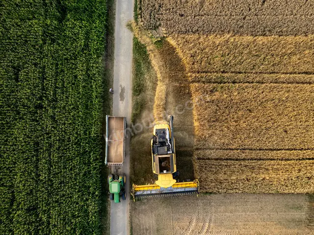 2021 Model Hasat Ekipmanı — 12.300 Saat — fotoğraf 2