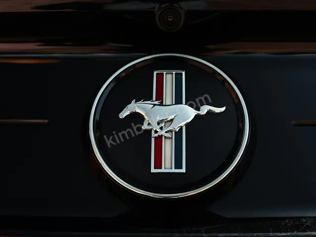 2010 Ford Mustang Design — Ekspertiz Raporlu — fotoğraf 4