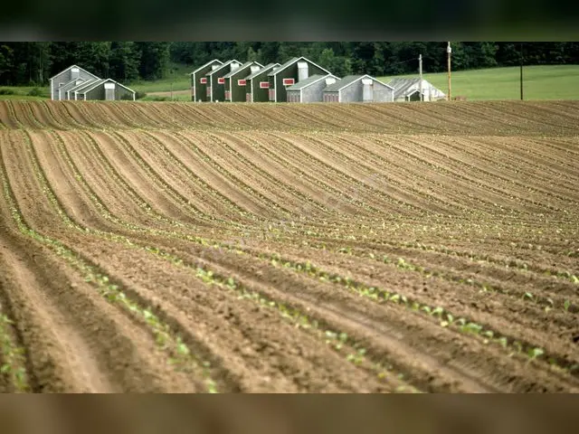 Bağlar 2.000 m² Satılık Tarla — fotoğraf 3