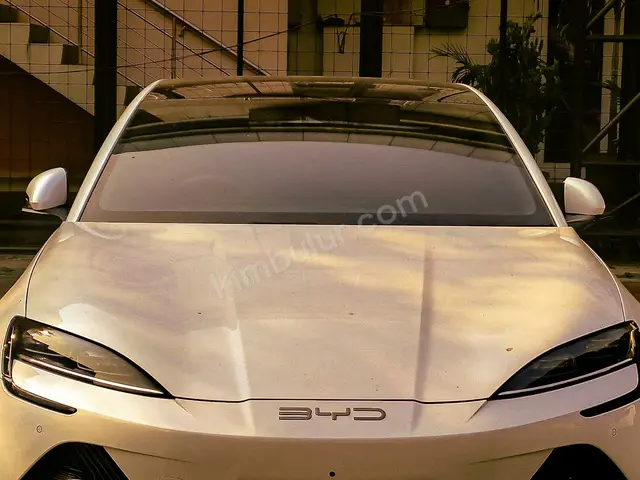 2024 BYD Tang Elite — Tramer Kaydı Düşük — fotoğraf 3