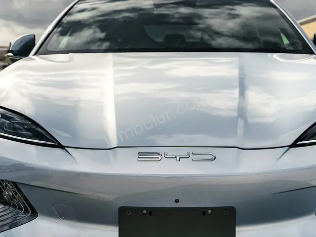2024 BYD Seal U Elite — Tramer Kaydı Düşük — fotoğraf 2
