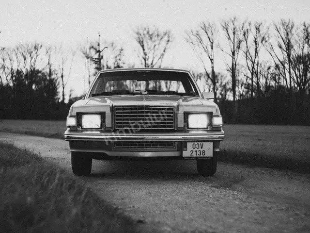 2024 Ford Taunus Comfort — Garaj Aracı — fotoğraf 3