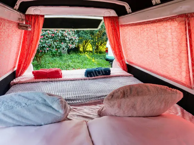 2024 Fiat Scudo Comfort — Garaj Aracı — fotoğraf 4
