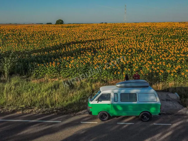 2025 Fiat Fiorino Comfort — Az Yakan