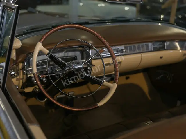 Yaz Lastiği · İnegöl — Opel Uyumlu, İkinci El — fotoğraf 3