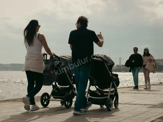 Bebek Arabası · Darıca — Sıfır Gibi, Tüm Aksesuarlarıyla — fotoğraf 2