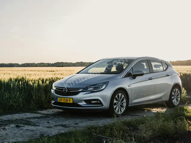 2013 Opel Grandland Style — Tramer Kaydı Düşük — fotoğraf 4