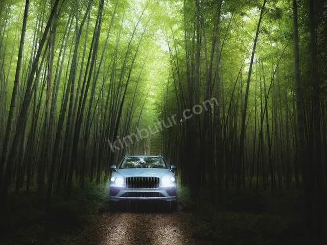 2021 Bentley Flying Spur Style — Bakımları Yeni — fotoğraf 3