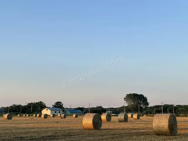 İnegöl 480 m² Kiralık Bağ & Bahçe — fotoğraf 4