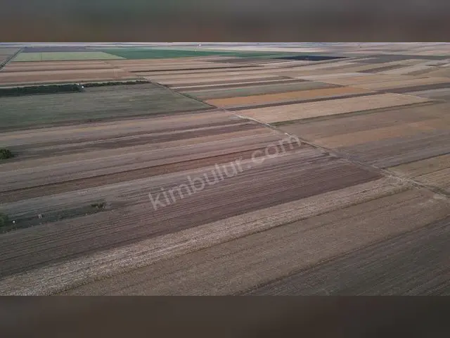 Fatsa 18.700 m² Kiralık Konut + Ticari İmarlı Arsa