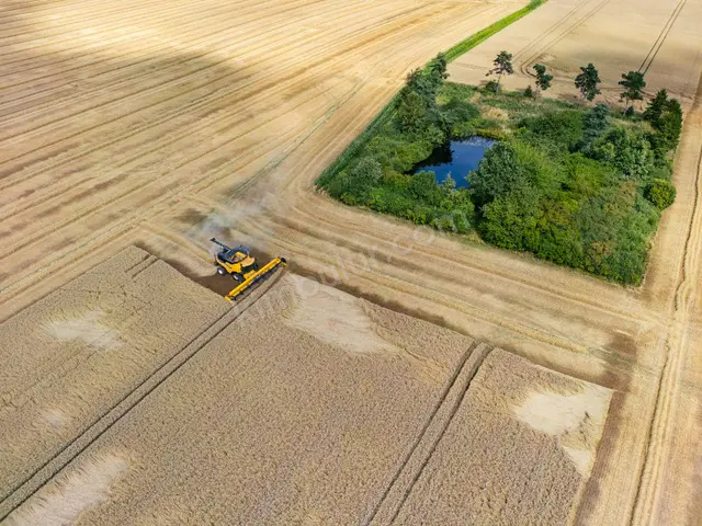 Bağlar 2.000 m² Satılık Tarla — fotoğraf 2