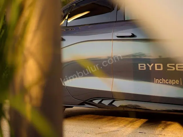 2014 BYD Executive — Garaj Aracı — fotoğraf 2