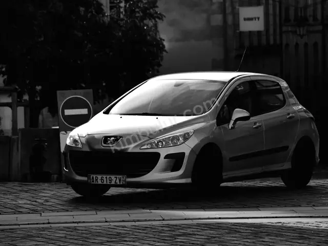 2017 Peugeot Executive — Tramer Kaydı Düşük — fotoğraf 3