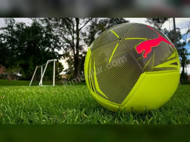 Kış Sporları · Menteşe — İkinci El, Faturalı — fotoğraf 2
