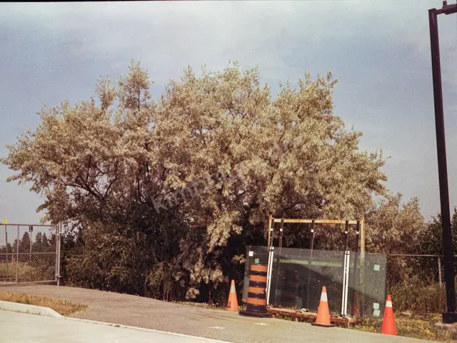İzmit Ev Temizliği Hizmeti — Aynı Gün Hizmet — fotoğraf 3