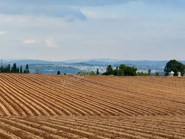 Saray 13.400 m² Kat Karşılığı Konut + Ticari İmarlı Arsa