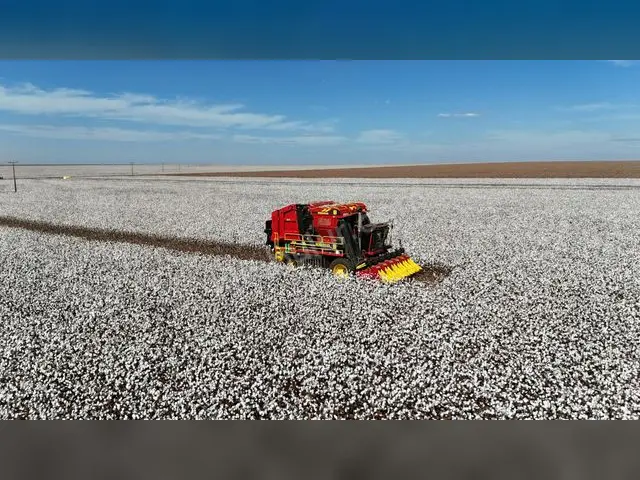2010 Model Endüstriyel Bulaşık Makinesi · Sandıklı — 12.850 Saat — fotoğraf 2