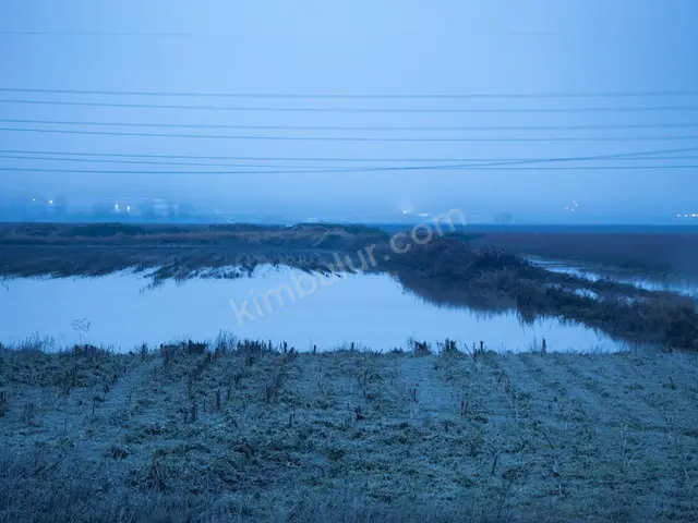 Samandağ 12.250 m² Kat Karşılığı Konut İmarlı Arsa — fotoğraf 2