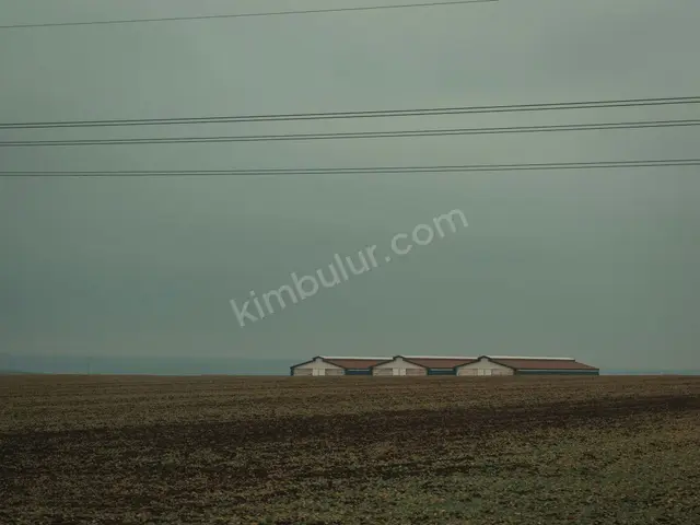 Midyat 3.100 m² Satılık Bağ & Bahçe