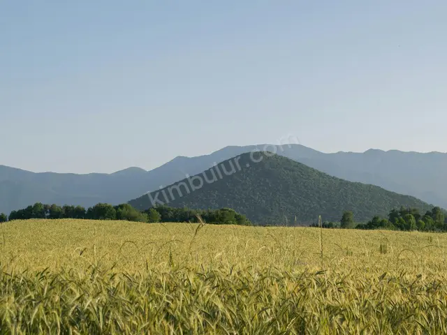 Atakum 17.650 m² Kat Karşılığı Villa İmarlı Arsa — fotoğraf 2