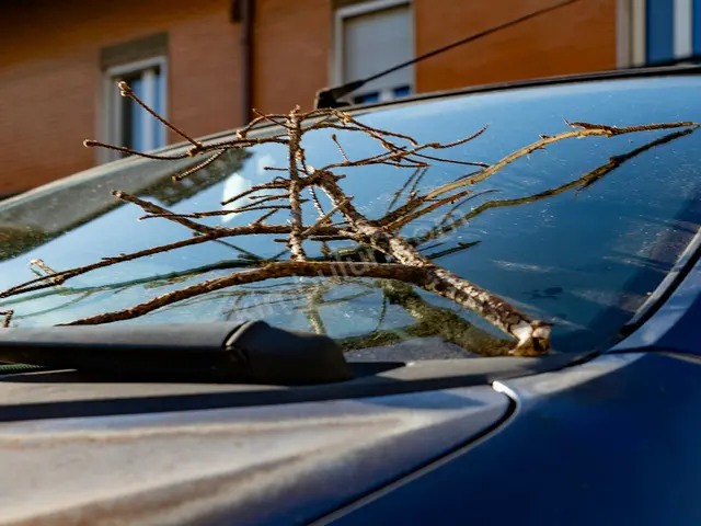 Hasarlı Ticari Araç — 2010 Model, Yanık — fotoğraf 3