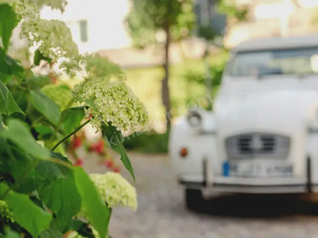 2020 Citroën C-Elysée Executive — Az Yakan — fotoğraf 2