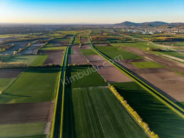Atakum 17.650 m² Kat Karşılığı Villa İmarlı Arsa — fotoğraf 4