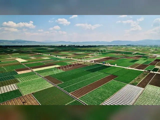 Pazarcık 2.150 m² Satılık Sanayi İmarlı Arsa