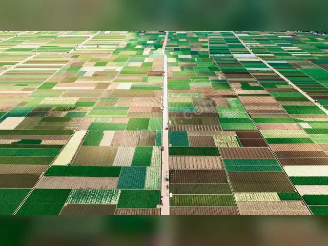 Viranşehir 18.500 m² Satılık Konut İmarlı Arsa — fotoğraf 2