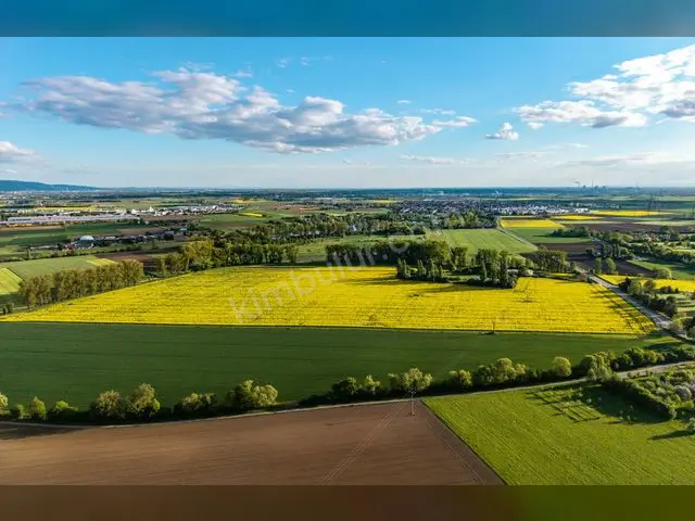 Muratpaşa 15.900 m² Kiralık Ticari İmarlı Arsa — fotoğraf 4
