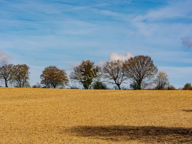 Muratpaşa 1.600 m² Satılık Depo & Antrepo İmarlı Arsa — fotoğraf 2
