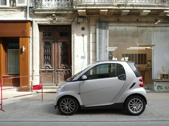 2011 MINI Countryman Design — Masrafsız