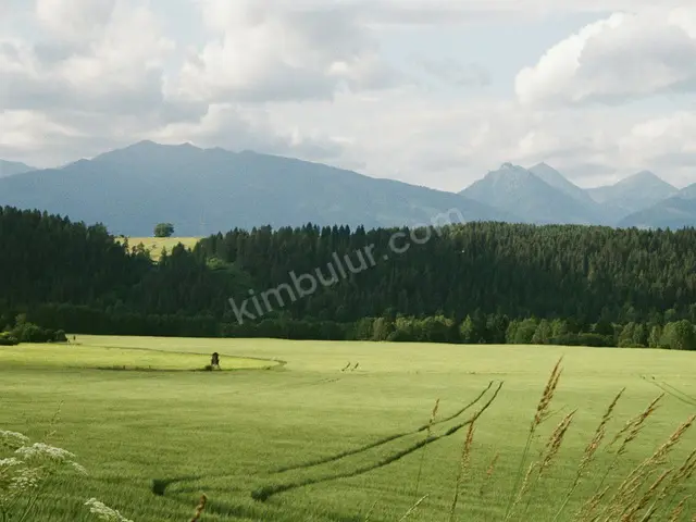 Çaldıran 4.050 m² Kiralık Turizm İmarlı Arsa — fotoğraf 2