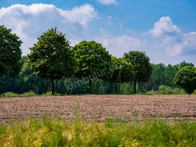 Bafra 9.600 m² Kat Karşılığı Konut + Ticari İmarlı Arsa — fotoğraf 2