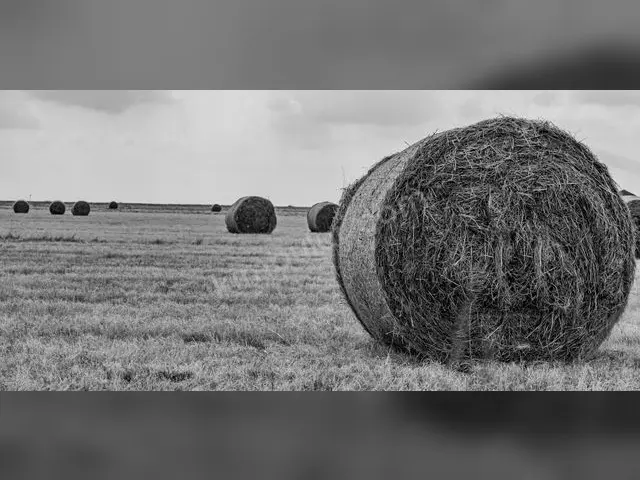 Keçiören 20.550 m² Satılık Konut + Ticari İmarlı Arsa — fotoğraf 4