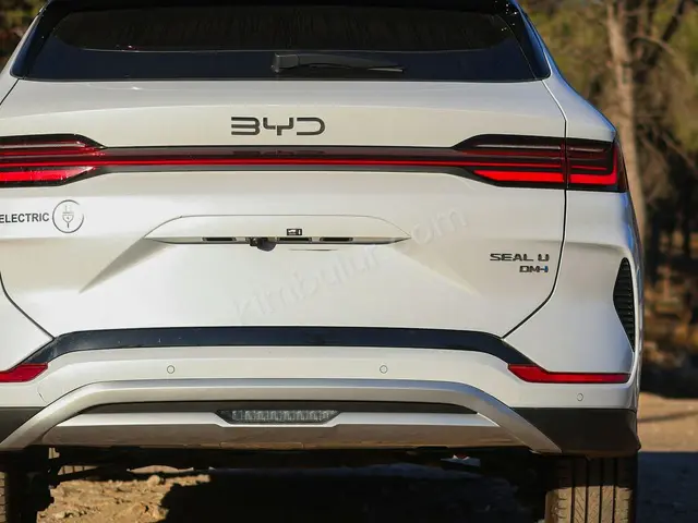 2018 BYD Sport — Tramer Kaydı Düşük — fotoğraf 2